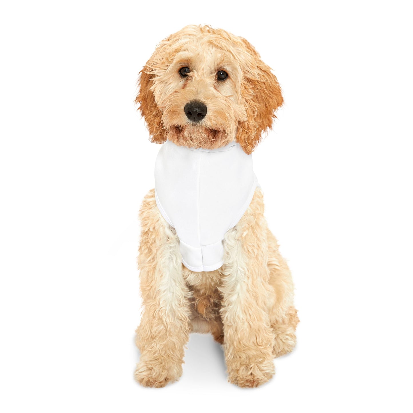 Cute Boss Pet Hoodie | Pet Apparel, Dog Clothes, Cat Fashion, Pet Gift, Animal Sweater