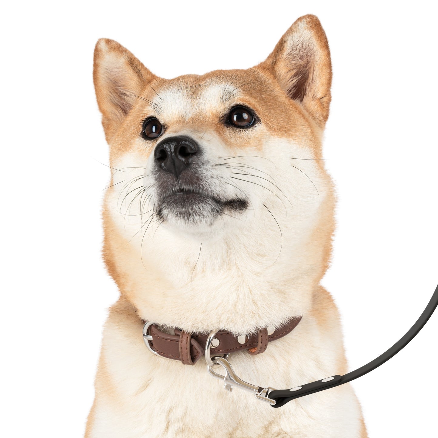Stylish Dog Leash - Durable, Modern Pet Accessory, Personalized Gift for Dog Lovers, Pet Walking Equipment, Unique Dog Owner Gift