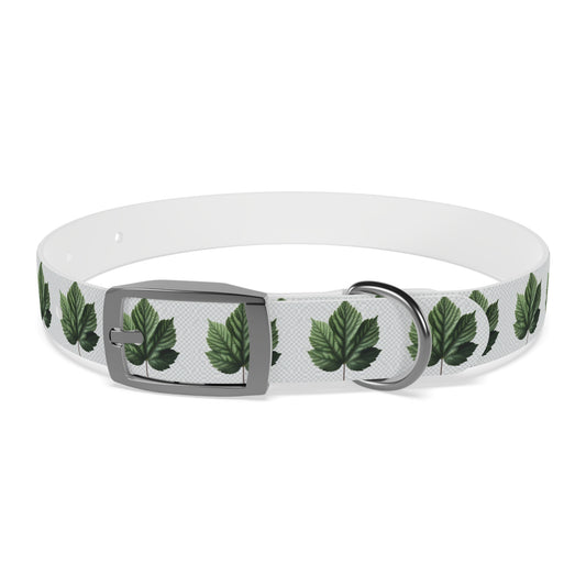 Stylish Dog Collar with Leaf Design, Trendy Pet Accessory, Perfect for Dog Lovers, Gifts for Pets, Outdoor Adventures, Summer Vibes