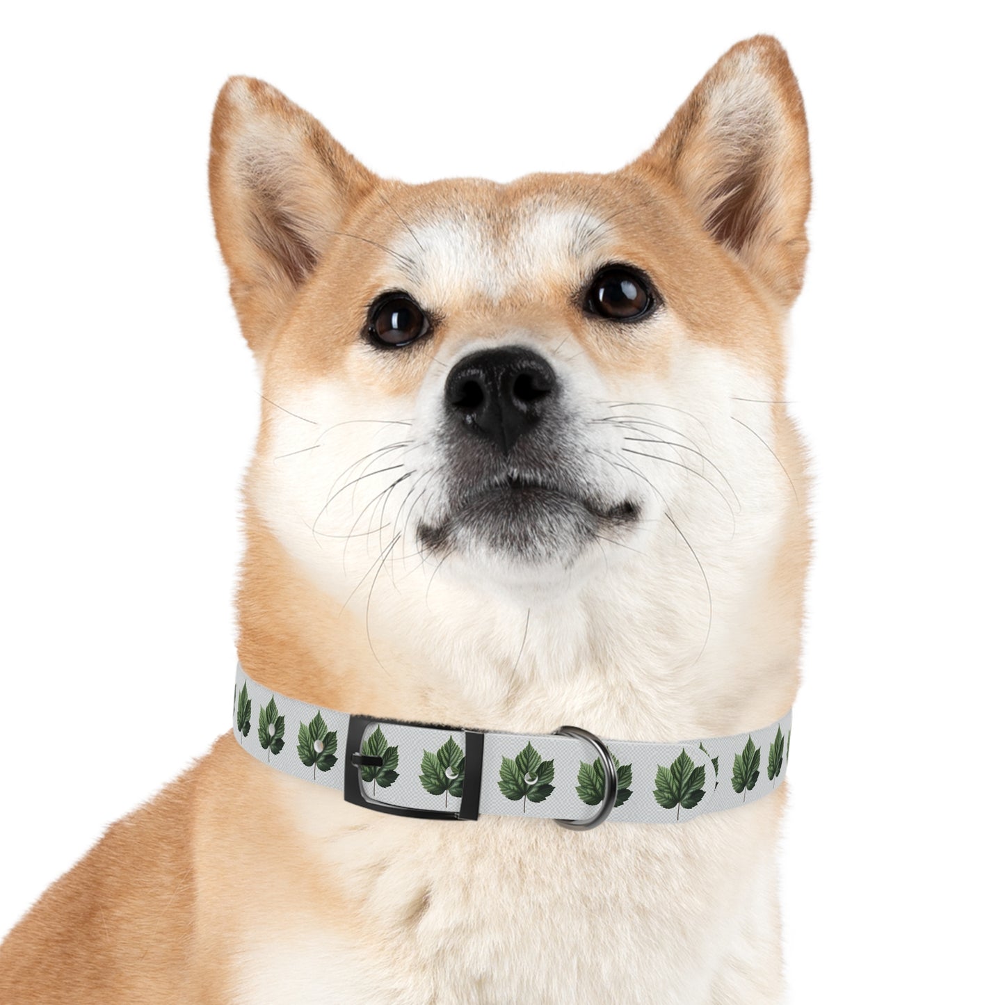 Stylish Dog Collar with Leaf Design, Trendy Pet Accessory, Perfect for Dog Lovers, Gifts for Pets, Outdoor Adventures, Summer Vibes