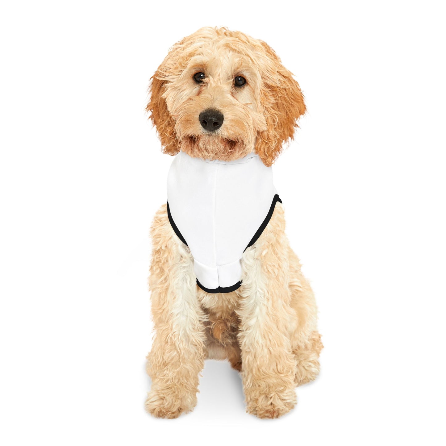 Cute Boss Pet Hoodie | Pet Apparel, Dog Clothes, Cat Fashion, Pet Gift, Animal Sweater