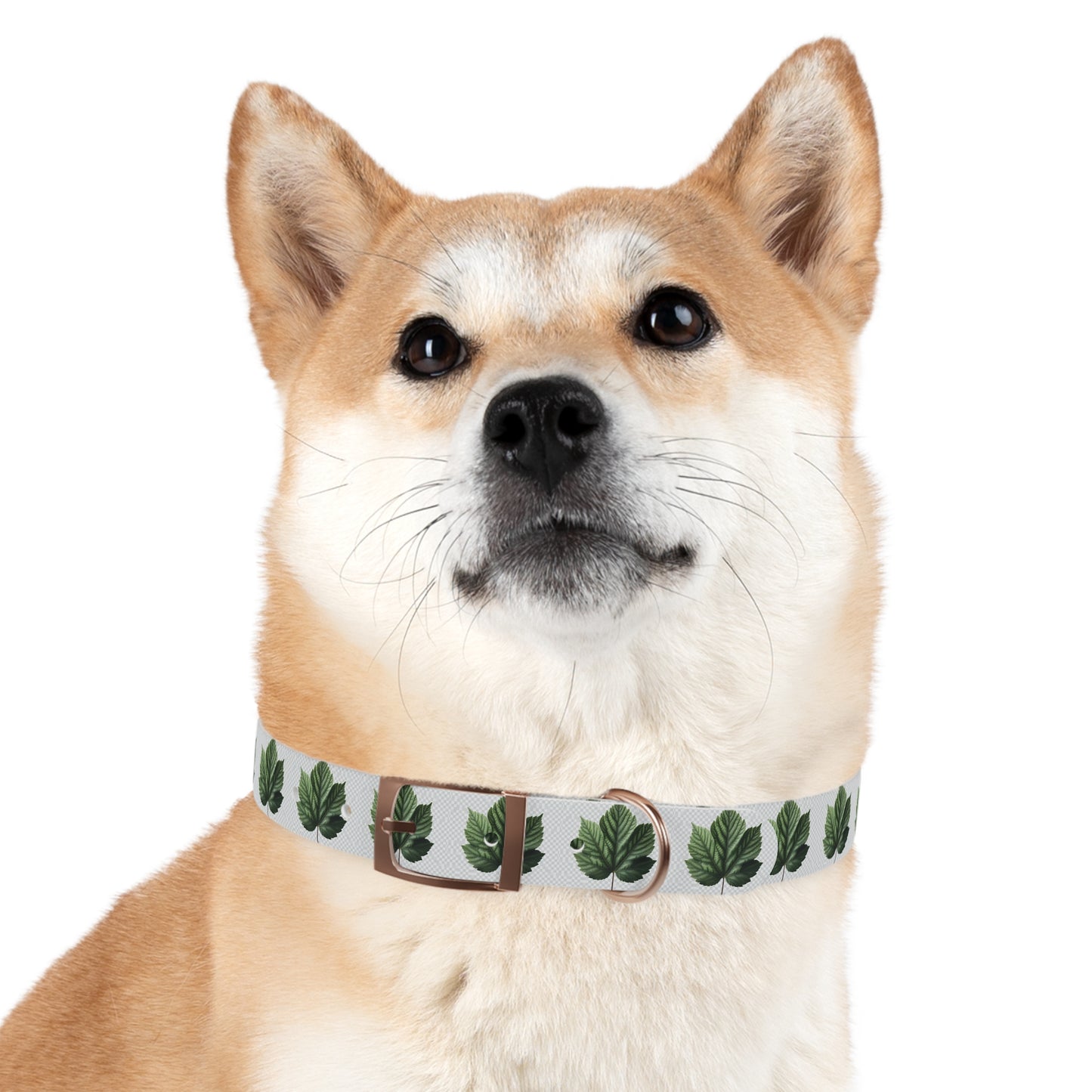 Stylish Dog Collar with Leaf Design, Trendy Pet Accessory, Perfect for Dog Lovers, Gifts for Pets, Outdoor Adventures, Summer Vibes