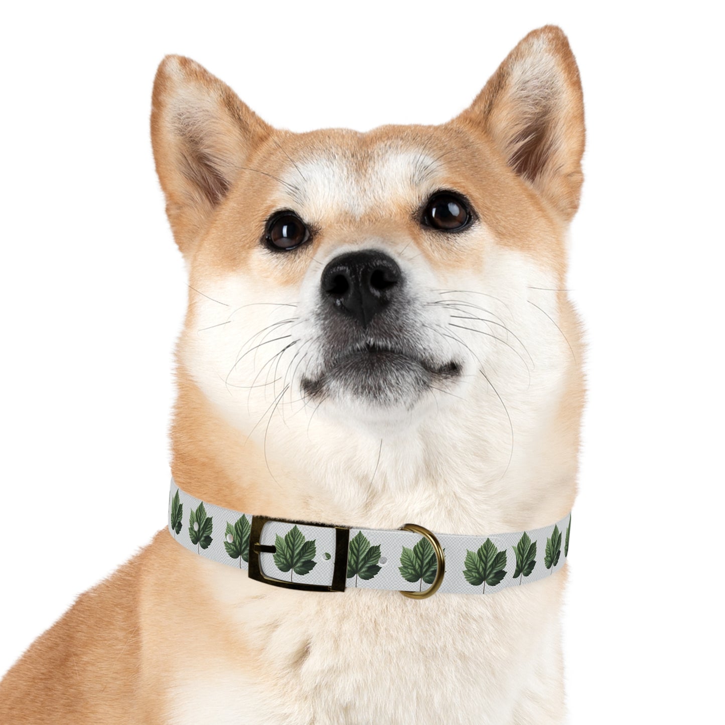 Stylish Dog Collar with Leaf Design, Trendy Pet Accessory, Perfect for Dog Lovers, Gifts for Pets, Outdoor Adventures, Summer Vibes