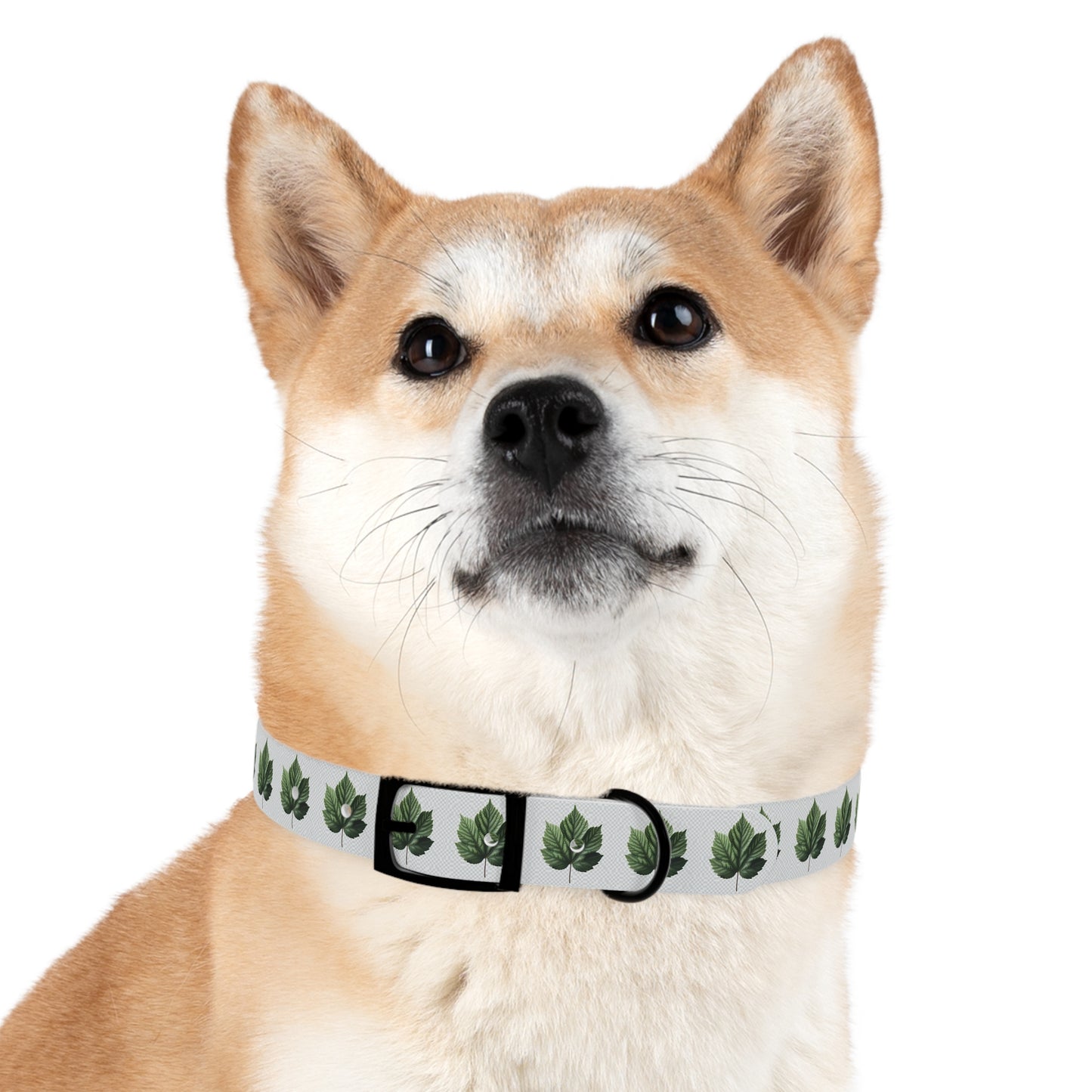 Stylish Dog Collar with Leaf Design, Trendy Pet Accessory, Perfect for Dog Lovers, Gifts for Pets, Outdoor Adventures, Summer Vibes